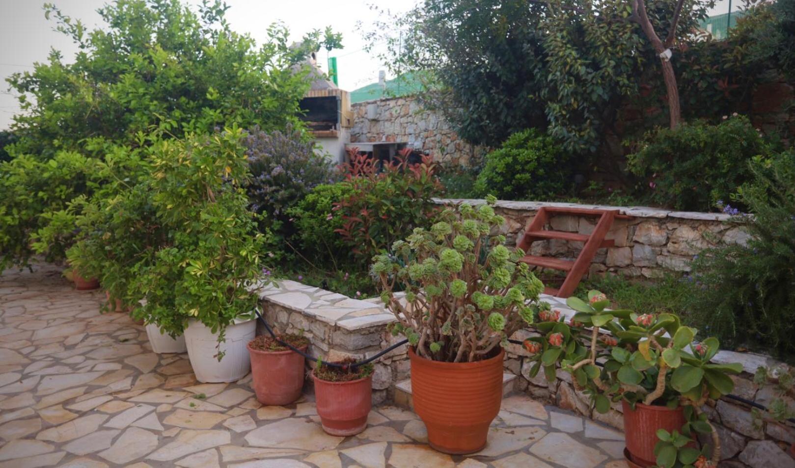 Diakofti Athena Kythera المظهر الخارجي الصورة